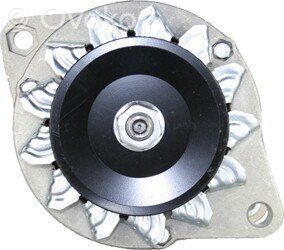 Ģenerators   CA212,A9216,038520135A,1516473R,1516529R,210298,210298A,2997074,301448RI,301448RIM,30212RI,30212RIK,30212RIL,30212RIM,38520135A,3EFFE,4152610,4220356,4220357,4220539,4223787,42498163,42498164,42498165,42498213,42498271,4474592,4474902,4699242,4702305,4702308,4715786,4717509,4717871,4721890,4722724,4738563,4738569,4738570,4738571,4738772,4738773,4738774,4738775,4786913,4808268,4808519,4808520,4808526,4808528,4G1041,506001035090,506001035311,506001035391,553017RI,553017RIM,553060R,553232RI,553232RIK,553232RIL,553232RIM,553474R,61146532,77040550,77050550,77445410,88206010,88206020,98417133,98417134,98417201,98417208,98417209,A9216,ABE9002,ABE9002BULK,ABE9002NACHI,ABE9002NSK,ABE9002NTN,ABE9006,ABE9006BULK,ABE9006FAG,ABE9006FAGBULK,ABE9006KOYO,ABE9006NACHI,ABE9006NSK,ABE9006NSKBULK,ABE9006NTN,ABE9006NTNBULK,ABE9006SKF,ABE9006SKFBULK,ABR9043S,ABR9088S,AINDE,AL150JM,AP9033S,APC9014S,AR9040S,ARC9105S,ARE9065S,ARS0012,ARS0012BULK,ARS0034,ARS0034BULK,ARS0049,ARS0096S,ARS2014,ARS6045S,ARS9025,ARS9028,ARS9030,ARS9063S,ARS9075S,ARS9080S,ARS9081S,ARS9097S,ARS9129LETRIKA,ARS9179S,AS0006,ASPL,BOSCH,CAL21601AS,CAL21601GS,CAL30601AS,CAL30601GS,CASCO,CEVAM,DIXIE,EAI,ERA,G101906,G104953,GHIBAUDI,GPARTS,HCPARTS,HELLA,KHD,KUHNER,LUCAS,MAGNETIMARELLI,MAHLE,NRG22986,NRGV2,POWERMAX,PRESTOLITE,PTC3030,SIOM,SKGN0321263,VALEO,WILSON,WOODAUTO