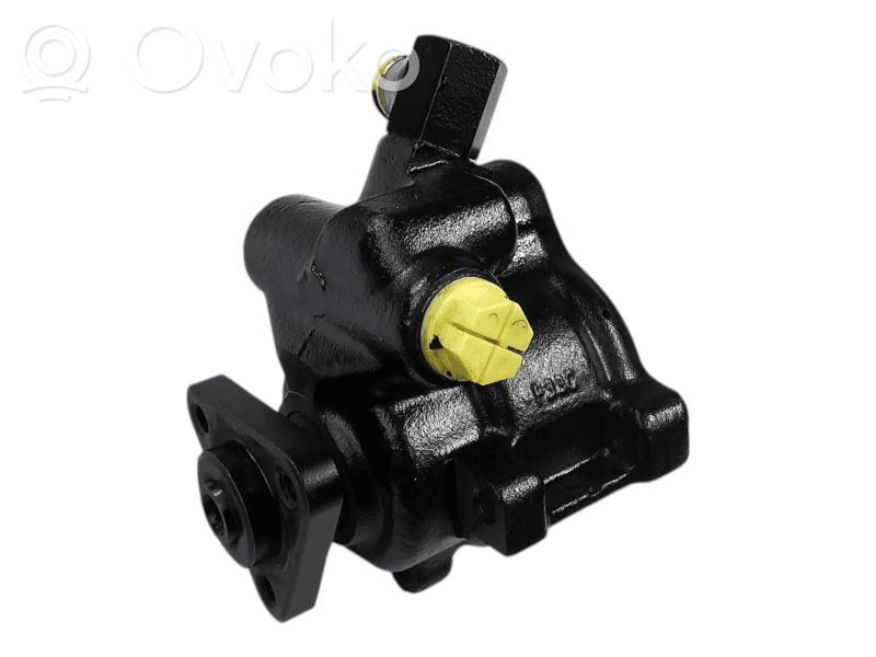 Ford Escort Power steering pump 
