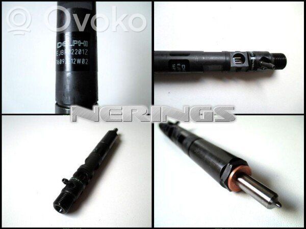 Ford Focus Injector combustibil 