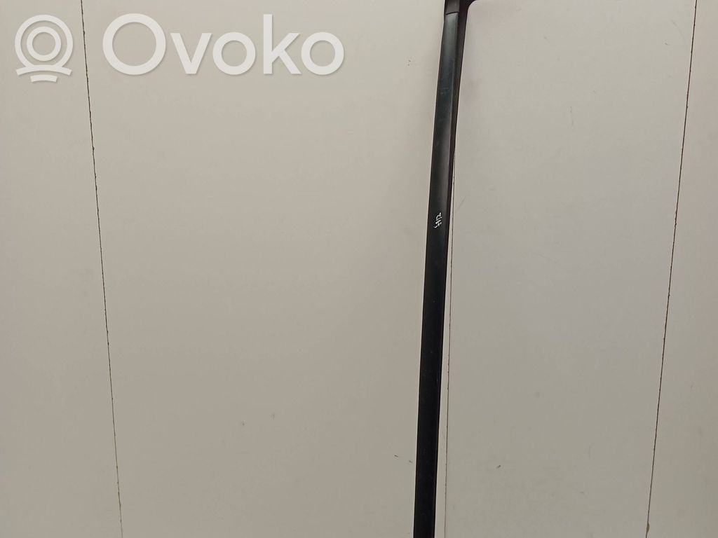 Toyota C-HR I Windshield trim 