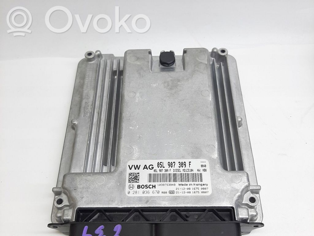 Sterownik / Moduł ECU   05L907309F,05L907309F