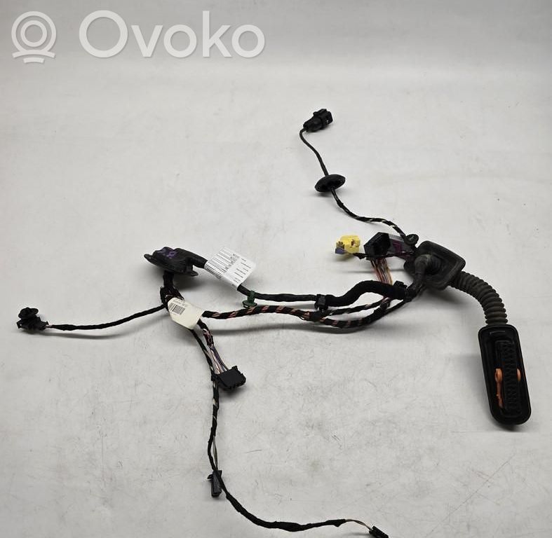 Volkswagen Tiguan Cablaggio porta anteriore