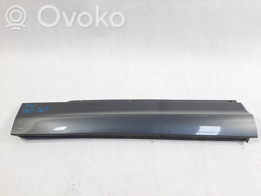 Volkswagen Tiguan Moulure de porte avant 