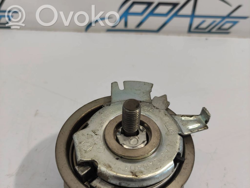 Audi A4 S4 B7 8E 8H Tensor de correa del alternador 