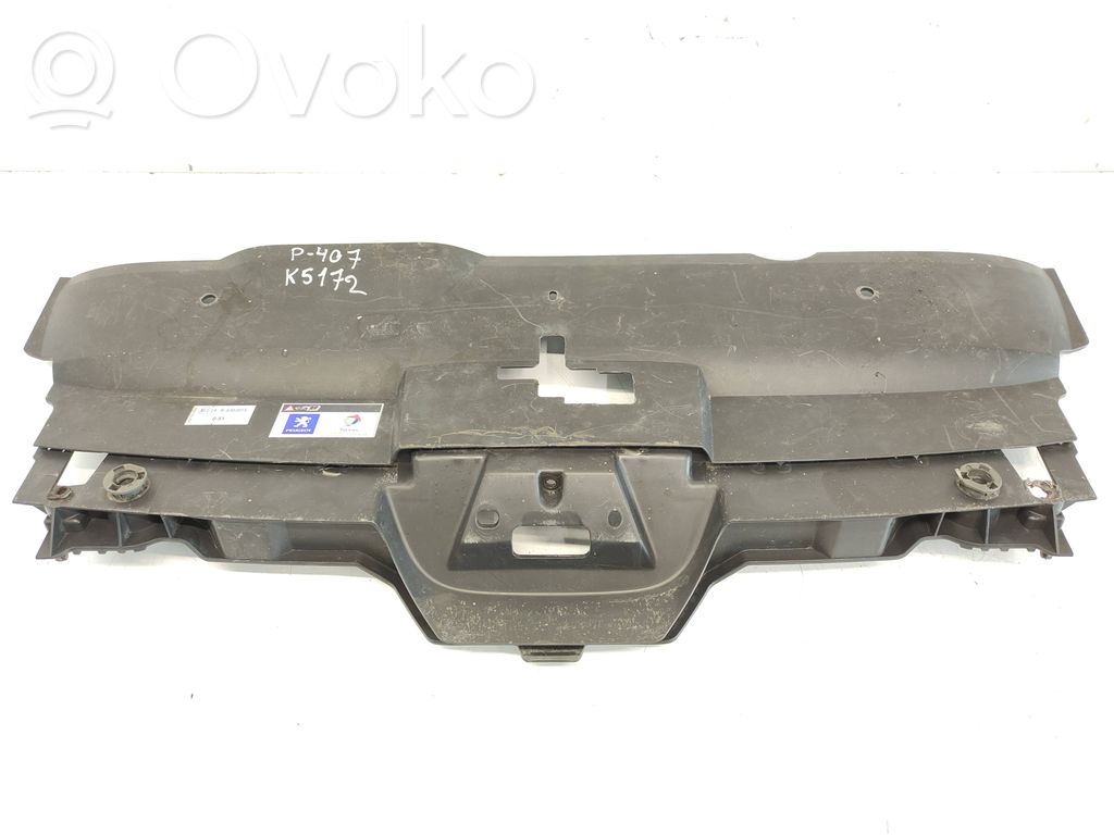 Peugeot 407 Moldura embellecedora del gancho del capó/tapa del motor 
