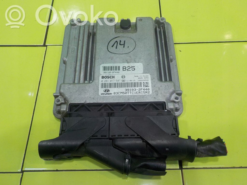 Hyundai Santa Fe Engine control unit/module 