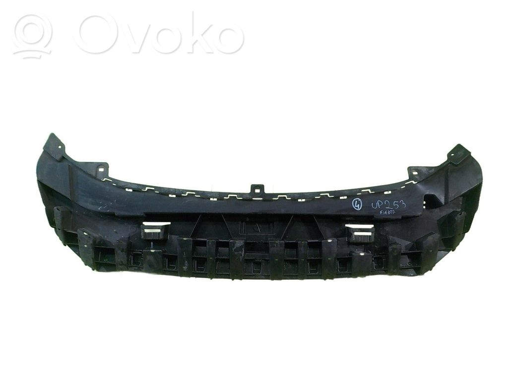 Ford Fiesta Variklio dugno apsauga 