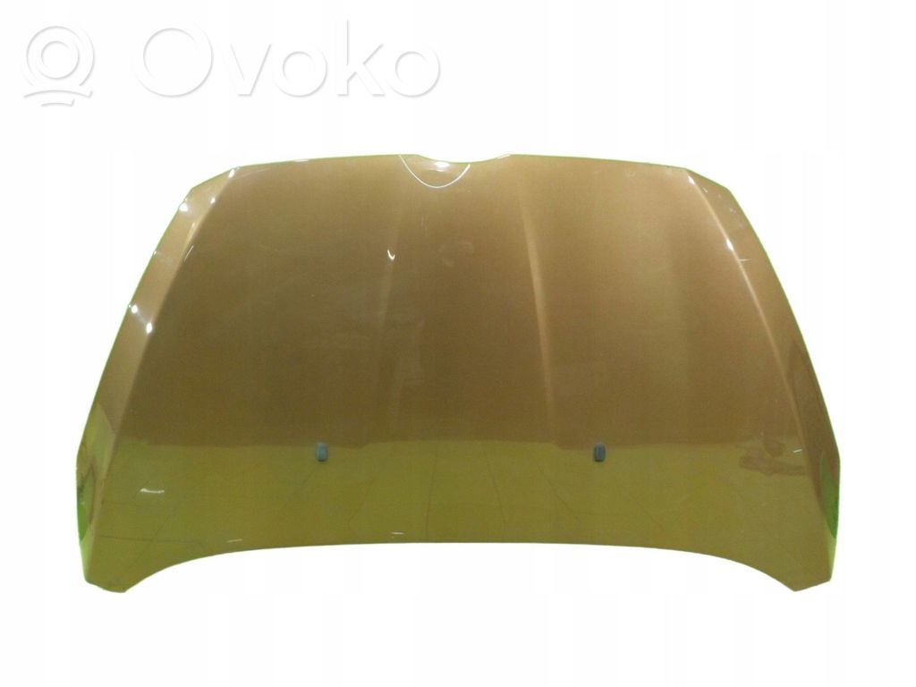 Engine bonnet/hood   17AB55