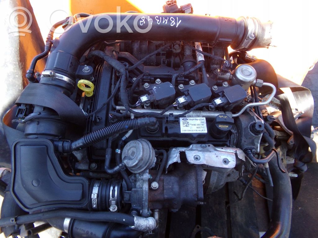 Ford Fiesta Turbo 