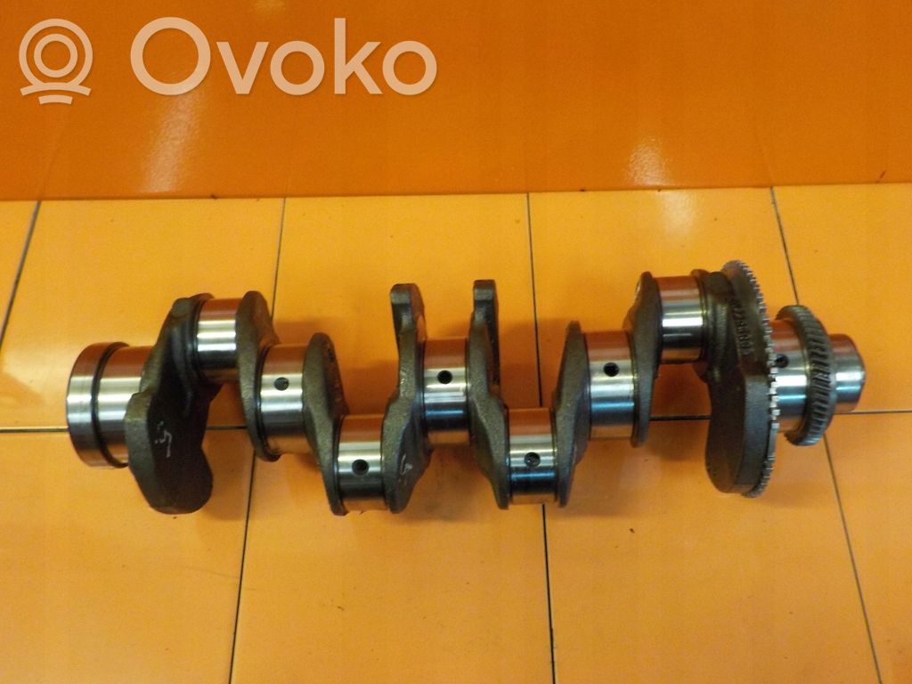 Iveco Massif Kurbelwelle
