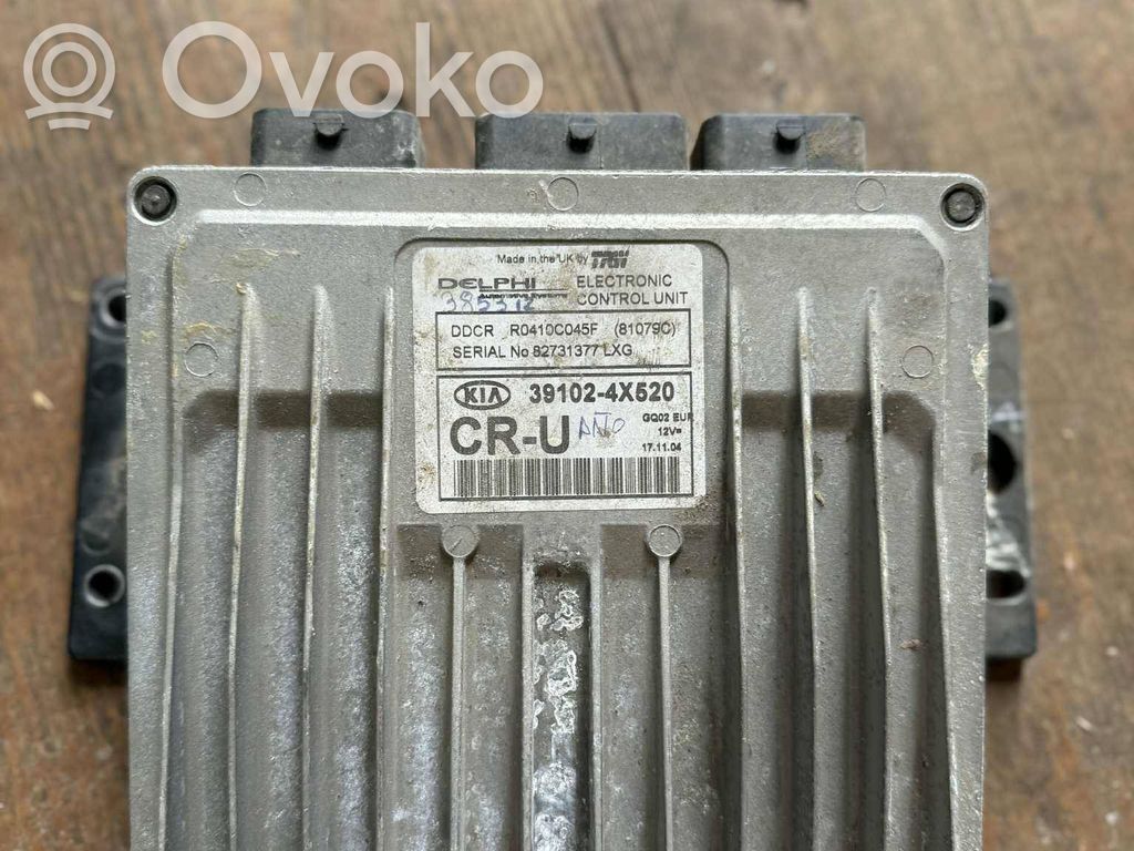 KIA Carnival Engine control unit/module 