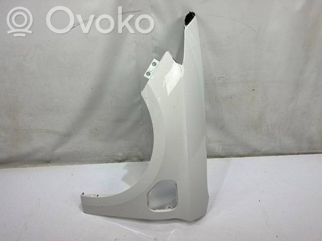 Guardabarro   5FA821115A