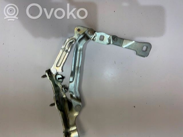 Tesla Model 3 Tailgate/trunk/boot hinge 