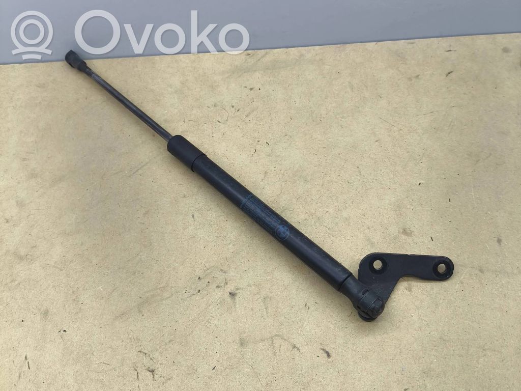 BMW 1 E81 E87 Tailgate/trunk strut/damper 