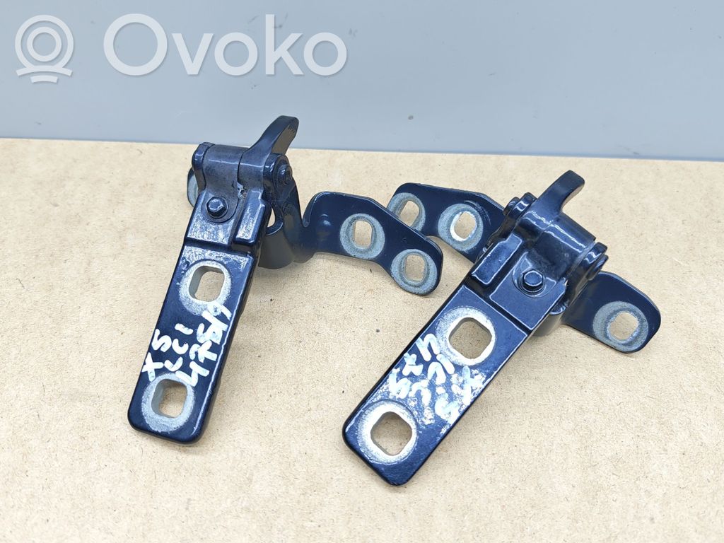 BMW X5 E70 Tailgate/trunk/boot hinge 