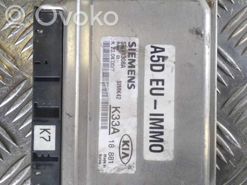 Engine control unit/module ECU   5WY1308A,K33A,A5DEUIMM0