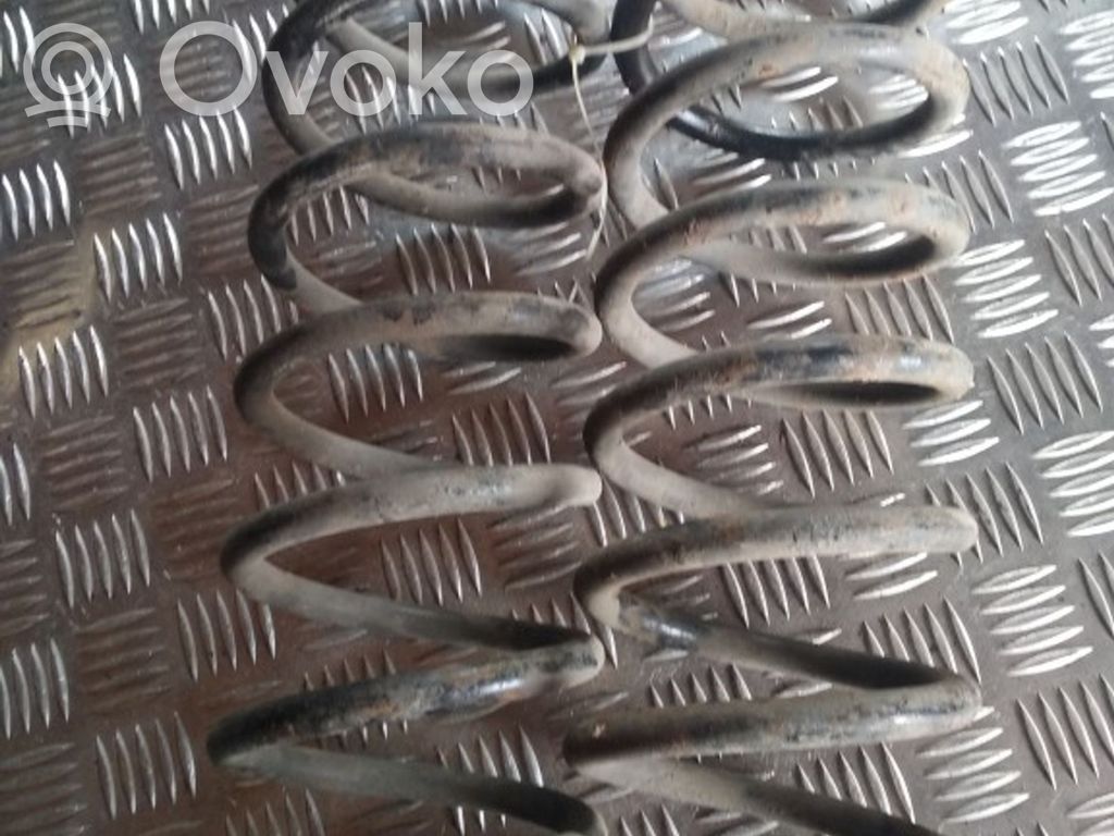 Front coil spring