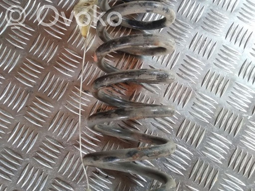 Rear coil spring