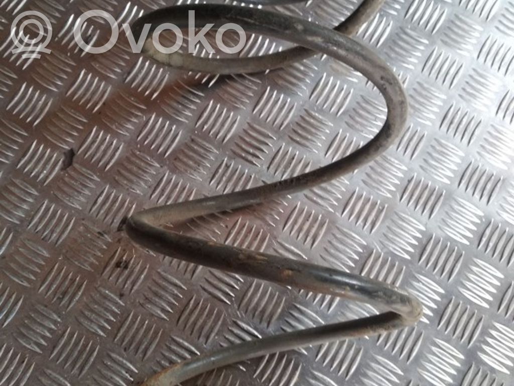 Front coil spring