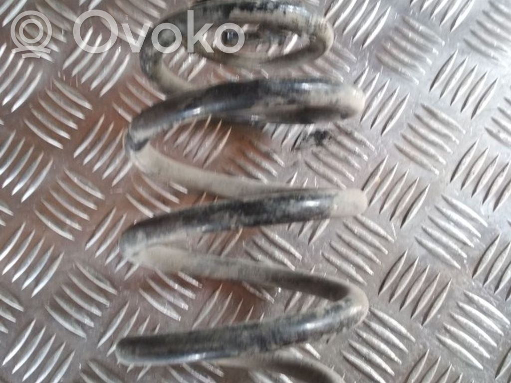 Rear coil spring