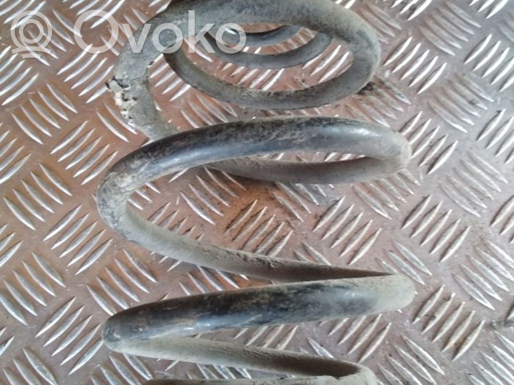 Rear coil spring