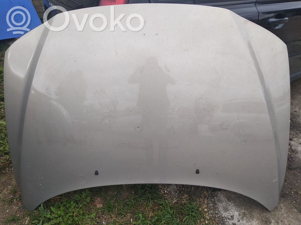 Engine bonnet/hood
