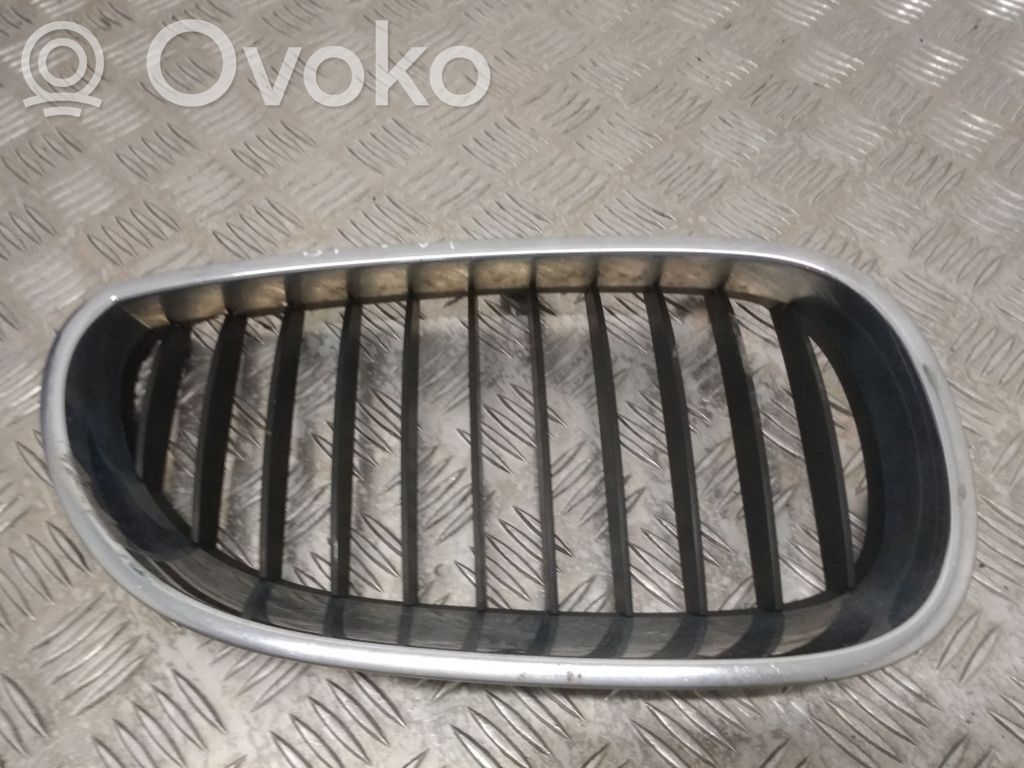 Front grill   7027062