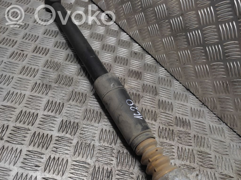 Stoßdämpfer hinten