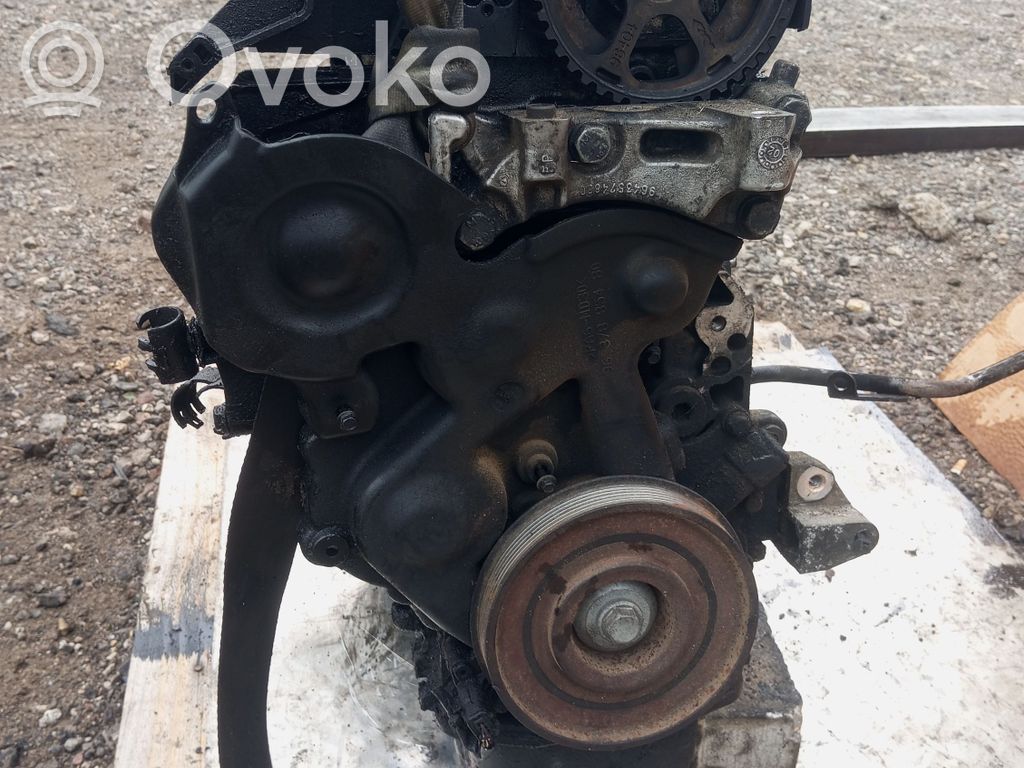 Motor   10FD16