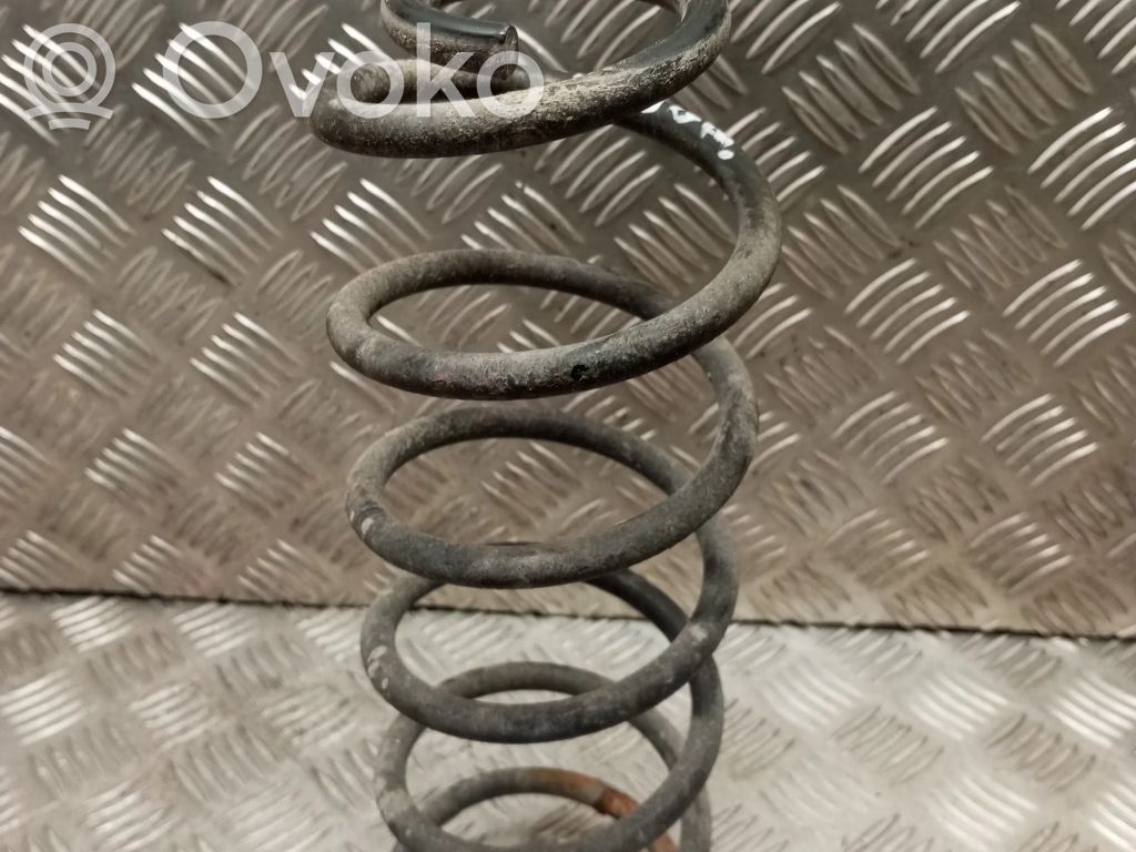 Rear coil spring
