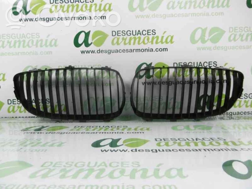 Front grill   51137157277,51137157278