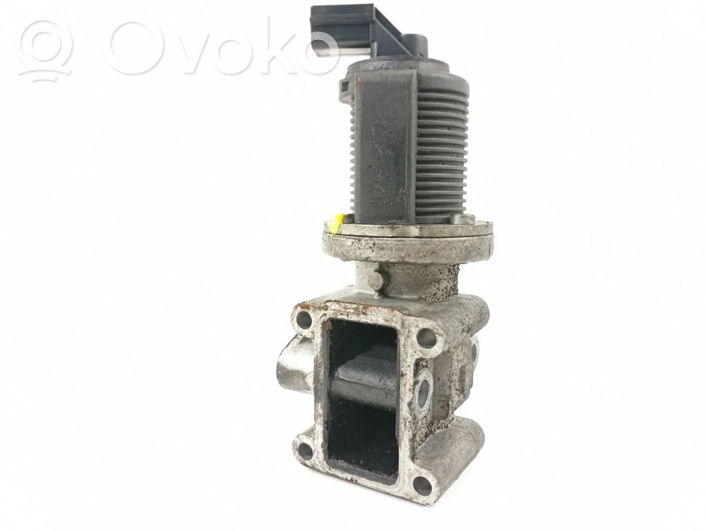 Válvula EGR   55215031,70006310