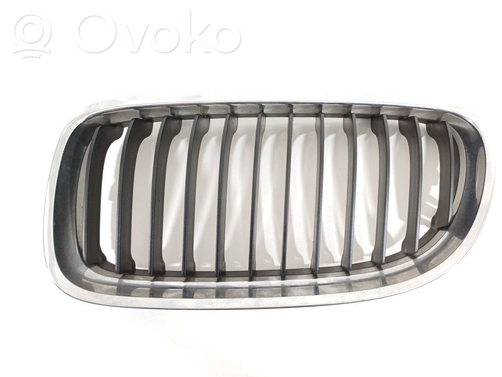 Front grill   51137201967,224059
