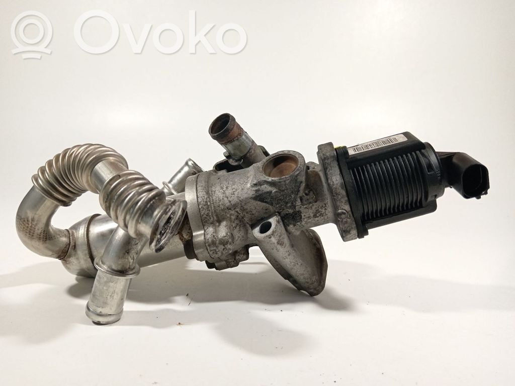 Válvula EGR   55204941