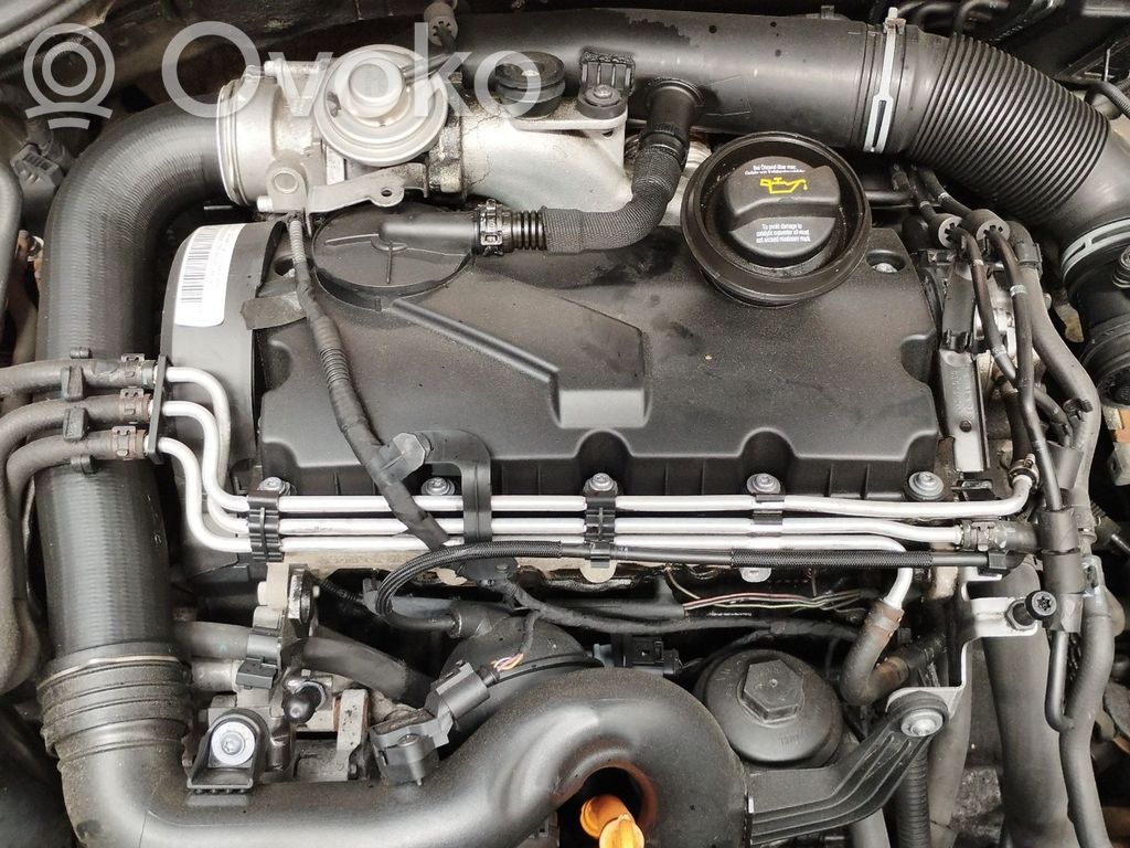 Inyector de combustible   038130073AG