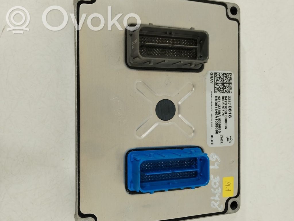 Opel Ampera Engine control unit/module 