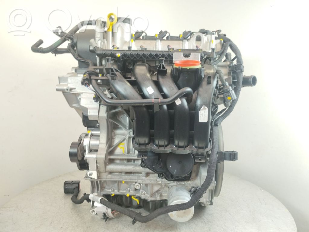 Motor   DWY