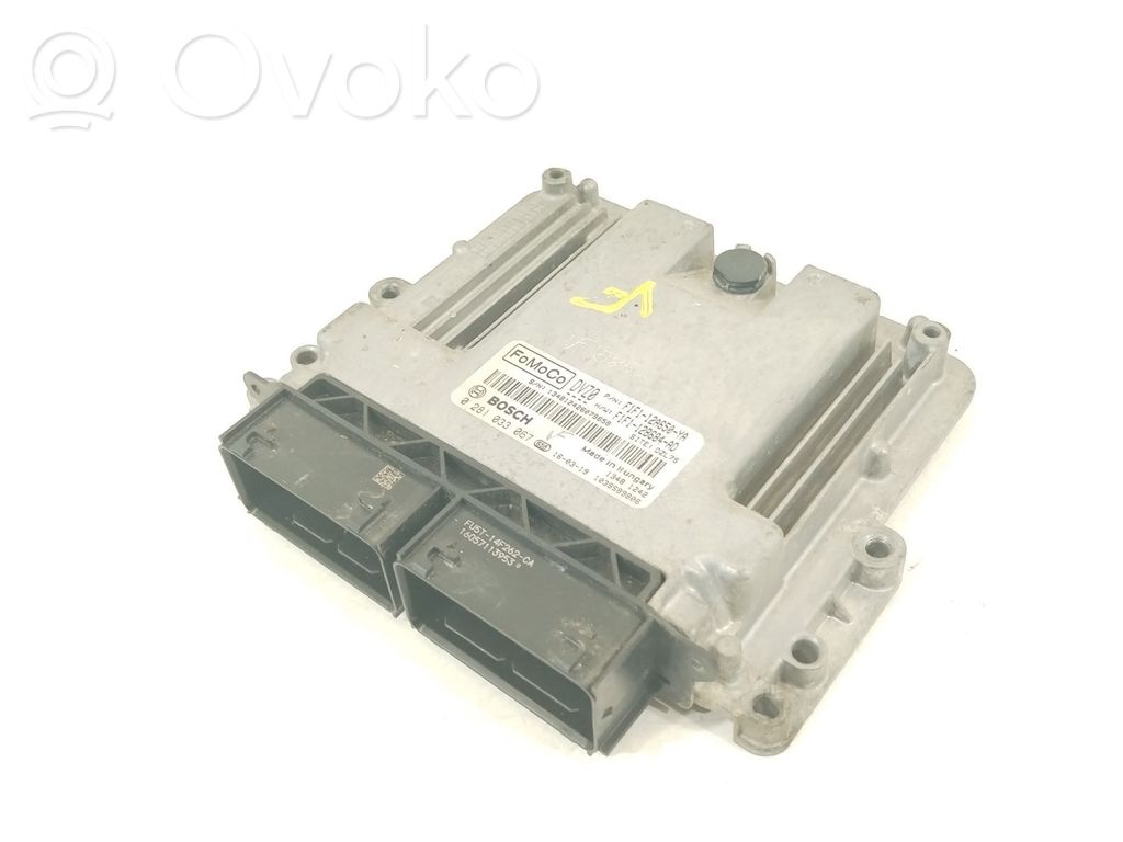 Ford Focus Engine control unit/module 