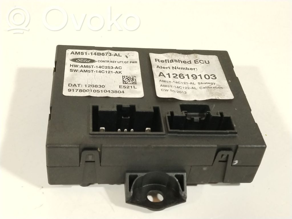Ford C-MAX II Other control units/modules 