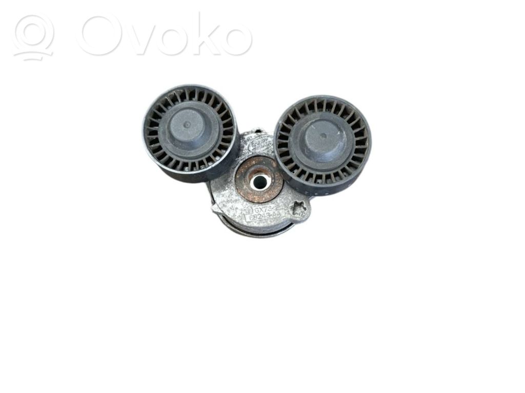 Land Rover Range Rover Evoque L538 Napinacz paska alternatora 