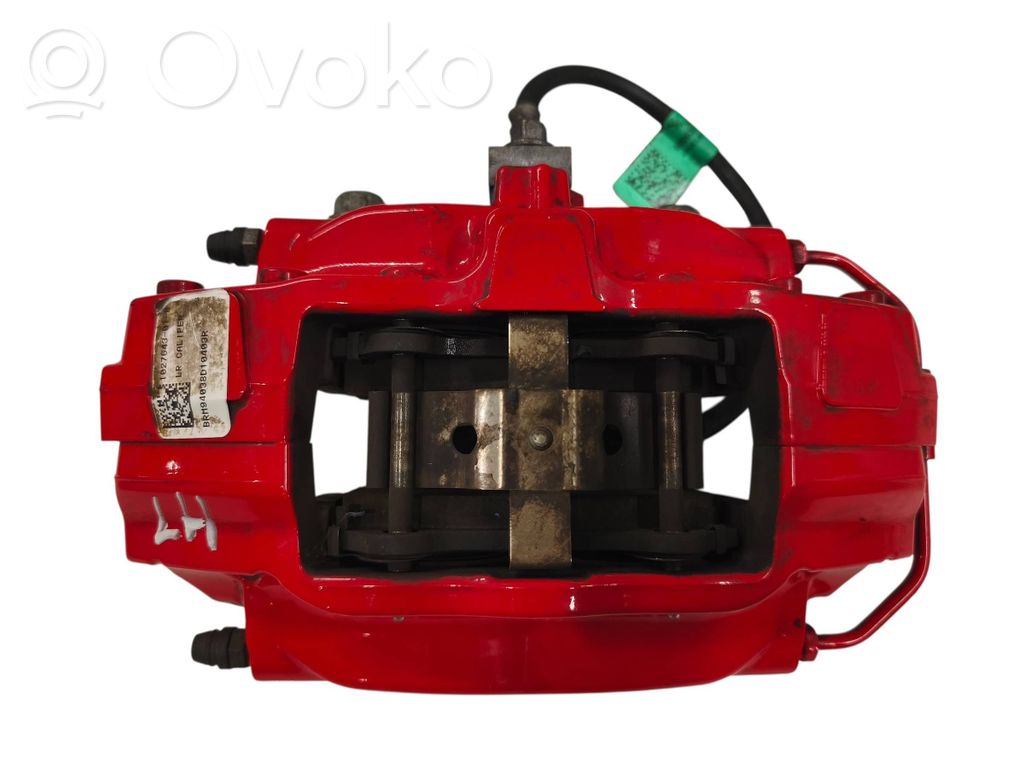 Takajarrusatula   102764301B
