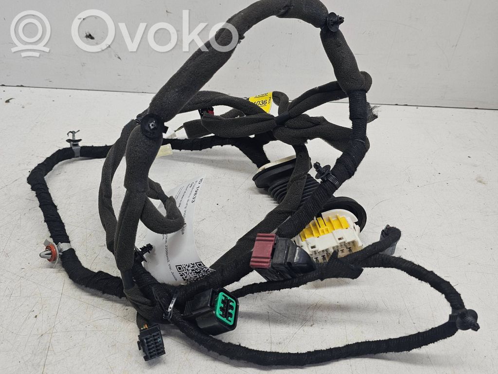Opel Antara Cableado de puerta delantera 
