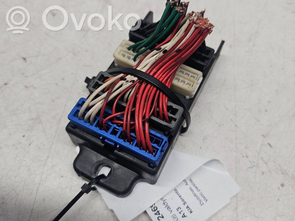 KIA Sorento Other control units/modules 