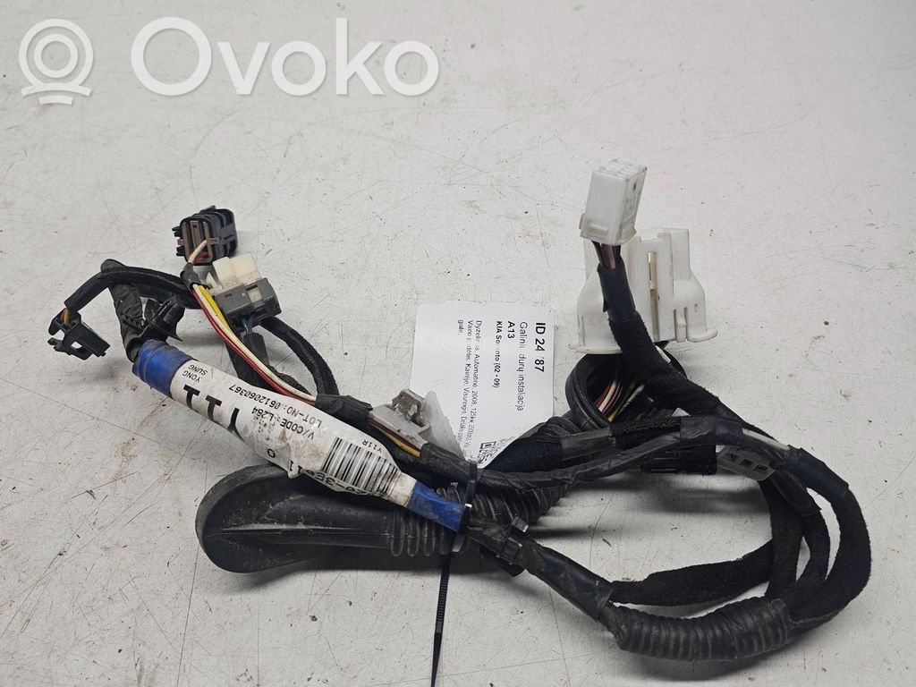 KIA Sorento Cableado de puerta trasera 