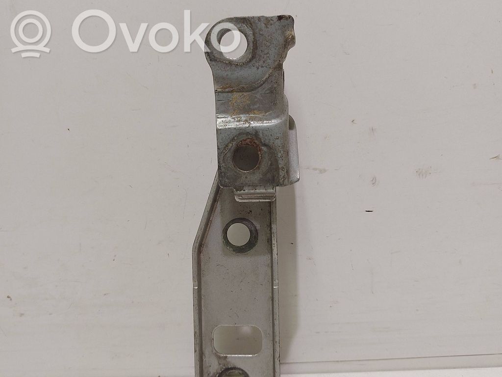 Volkswagen Golf IV Engine bonnet/hood hinges 
