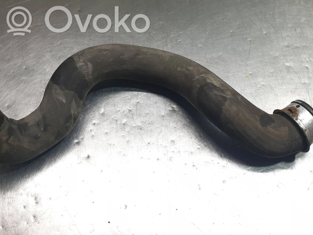 Przewód / Wąż chłodnicy   A2045013082