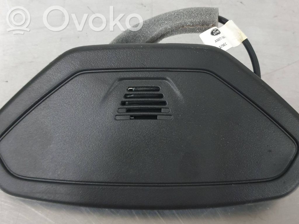 Ford Focus Microphone (Bluetooth / téléphone) 