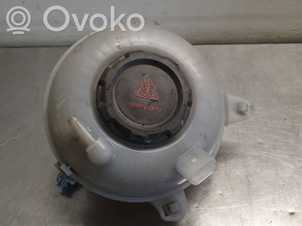 Volkswagen Golf VII Zbiornik wyrównawczy chłodziwa 