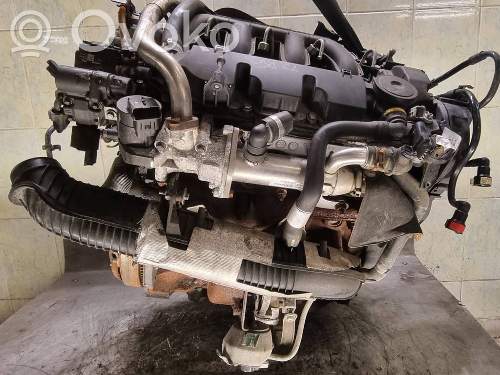 Engine   G6DG,D4204T,8V4Q6007AB,6906242