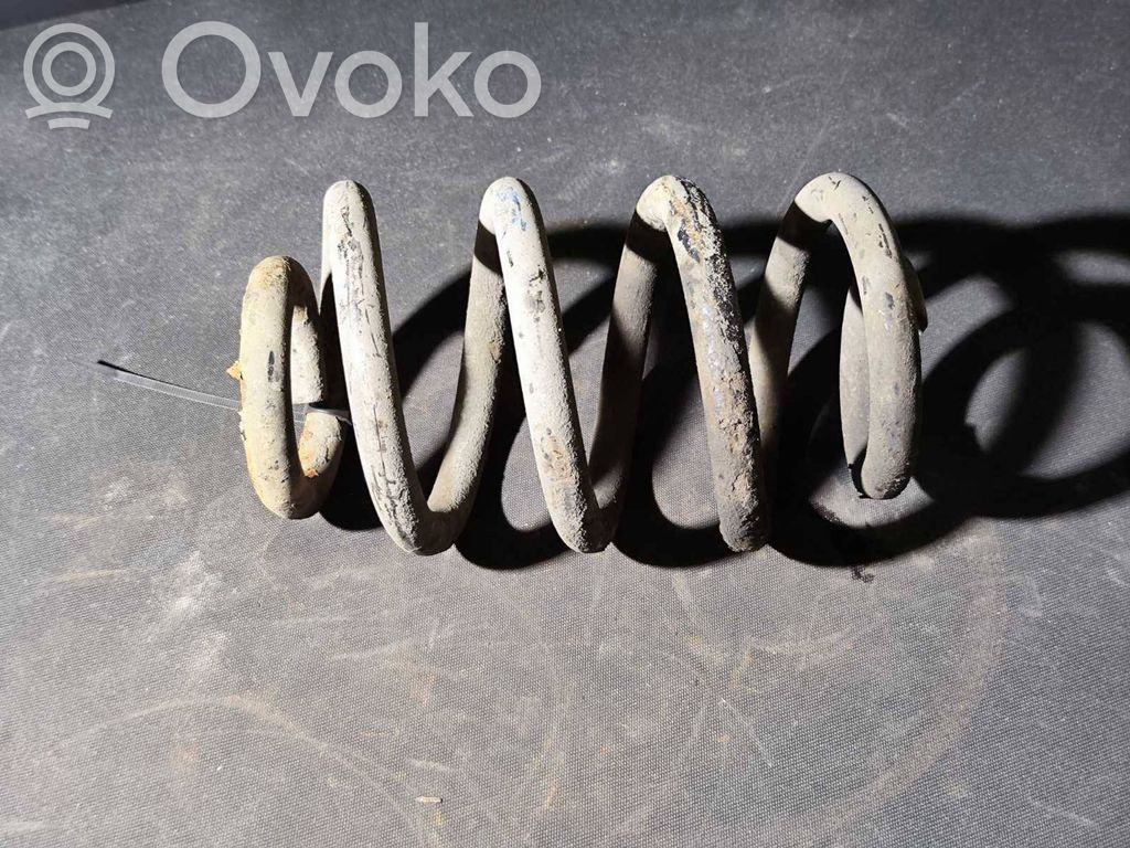 Rear coil spring